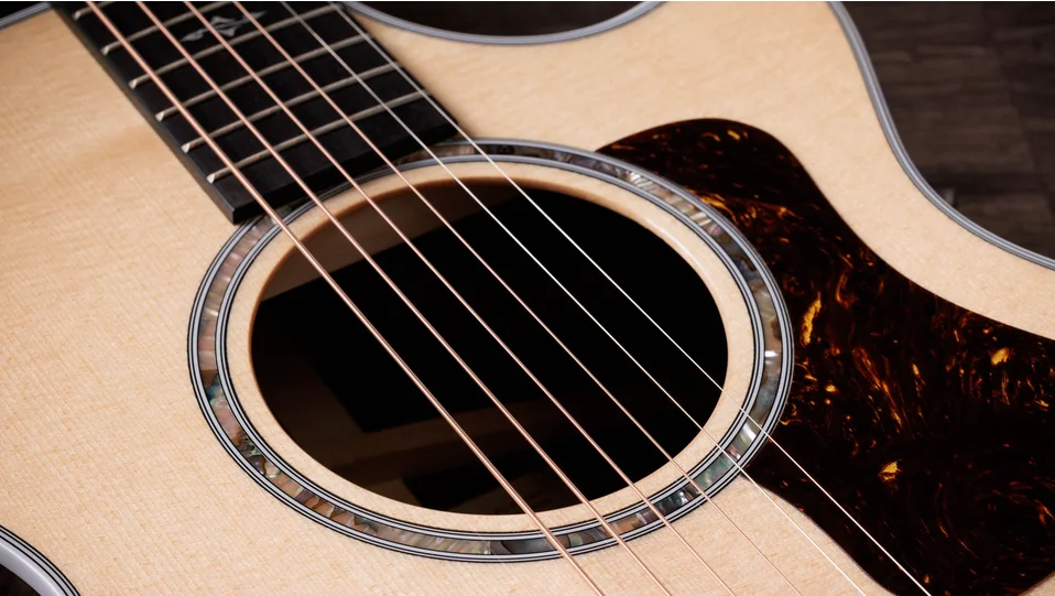 412ceIndian Rosewoodアコースティックエレクトリックギター | Taylor